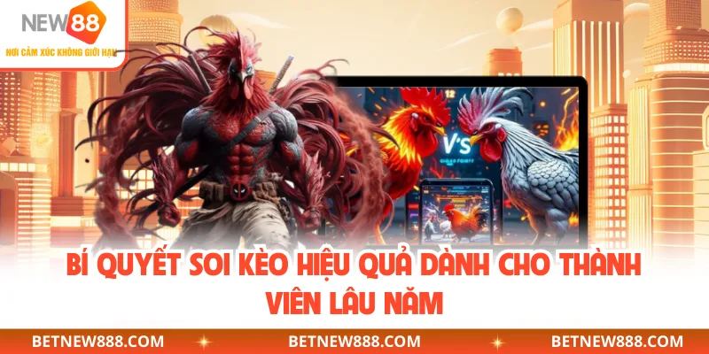 Bí quyết soi kèo hiệu quả dành cho thành viên lâu năm