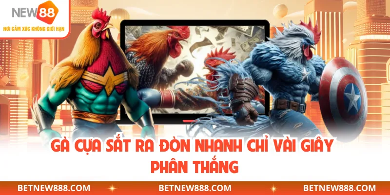 Gà cựa sắt ra đòn nhanh chỉ vài giây phân thắng